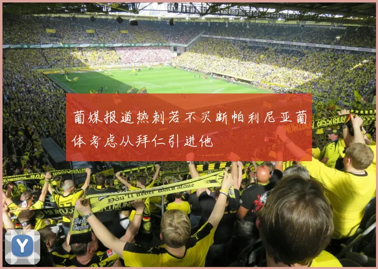 葡媒报道热刺若不买断帕利尼亚葡体考虑从拜仁引进他