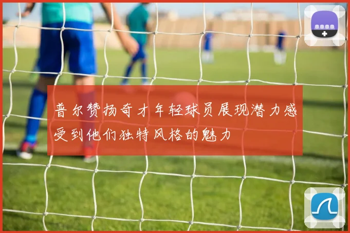 普尔赞扬奇才年轻球员展现潜力感受到他们独特风格的魅力